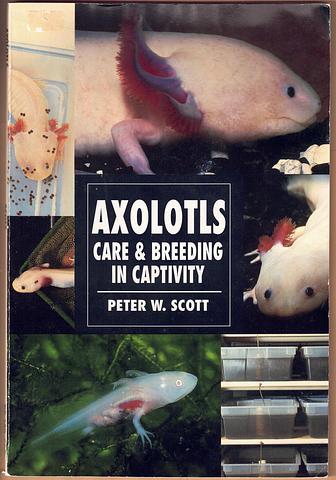 SCOTT, Peter W - Axolotls: care and breeding in captivity
