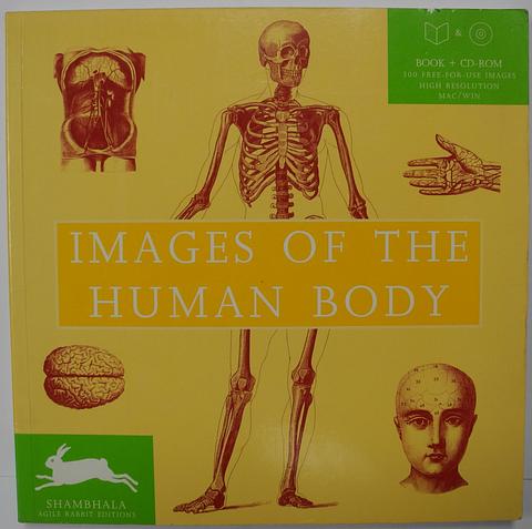 ROOJEN, Pepin van - Images of the human body