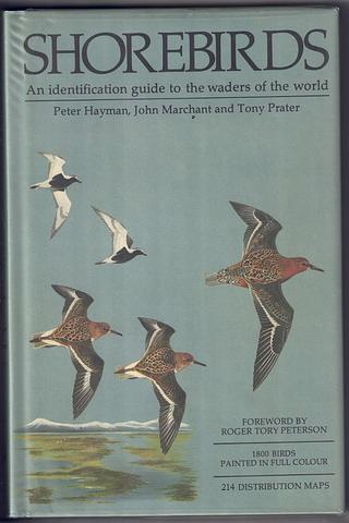 HAYMAN, Peter et al - Shorebirds